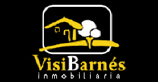 VISI BARNES