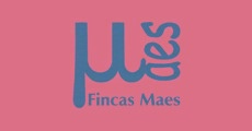 FINCAS MAES
