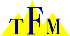 TFM Inmobiliaria